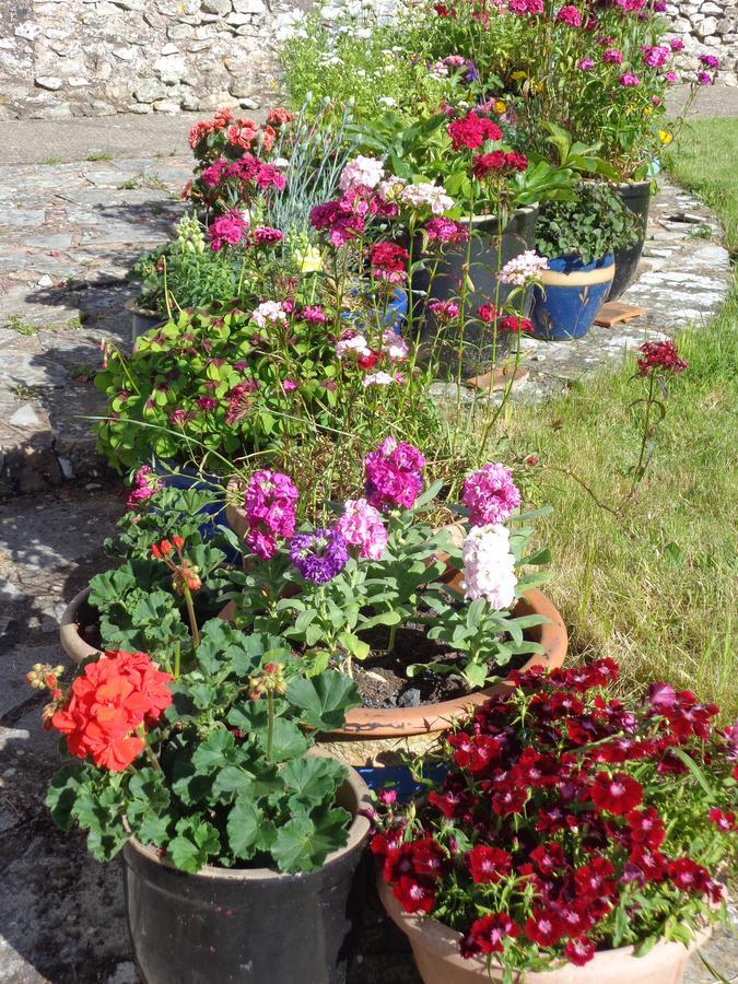 Lodge House B&B Buckland St Mary Екстер'єр фото